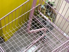 -娃娃集合营(上海闵行天街店)