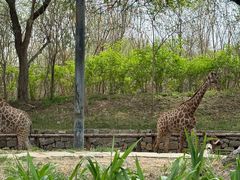 -北京野生动物园