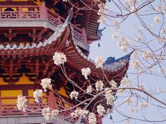 -龙华寺