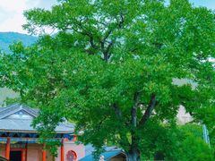 -苍山世界地质公园·石门关大峡谷