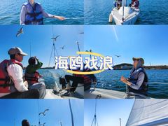 -拓恩帆船俱乐部