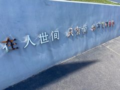 -荷兰花海