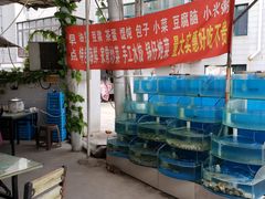 -晓伟海鲜家常菜