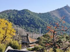 -潭柘寺景区