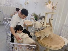 -共舞时光猫咖·狗咖(新街口店)