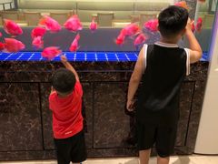 -原鄉本味 楚菜 丹江口鱼(北苑店)