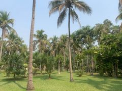 -中国科学院西双版纳热带植物园