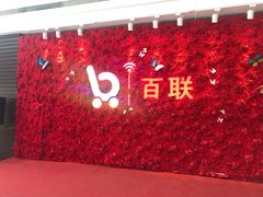 -沈阳百联购物中心(青年大街店)