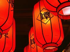 -谭鸭血老火锅(远大购物广场店)