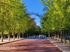 -辽宁大学(崇山校区)