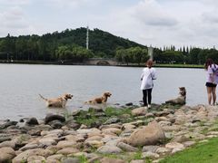 -上海月湖雕塑公园