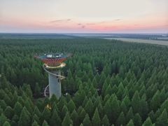 -黄海国家森林公园