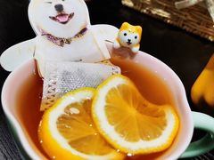 -逗柴咖啡屋·狗咖猫咖宠物桌游