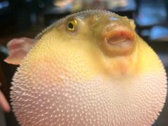 -永安鱼庄·镇江菜(丁卯店)