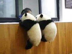 -必胜客(新中纬店)