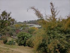 -飞凤山奥体公园