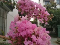 -清沐SPA生活馆(观前街店)