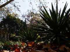 -西安市长乐公园