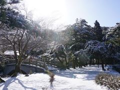 -庐山风景区花径公园