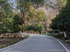 -南京市江宁方山