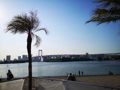-台场海滨公园船码头