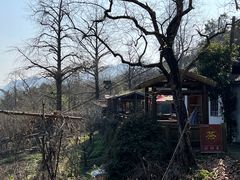 -丹山赤水风景名胜区