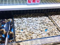 -聚盛源蒸汽海鲜火锅烤肉自助(巨川金海岸购物广场店)