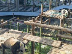 -大连森林动物园