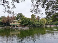 -晓港公园