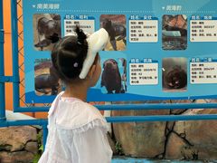 -海合安成都极地海洋公园