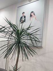 -北遇映画PHOTO GRAPHY STUDIO