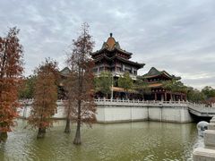 -顺峰山公园