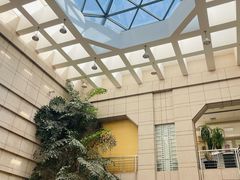 -北京大学百年讲堂