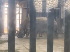 -新疆天山野生动物园