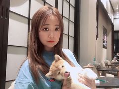 -逗柴咖啡屋·狗咖猫咖宠物桌游
