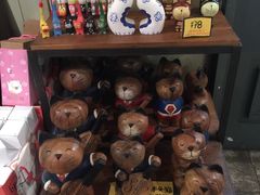 -猫咪博物馆(顶澳仔猫街店)