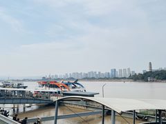 -江心屿景区