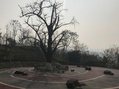 -金海湾滨江公园