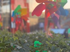 -小大董·烤鸭(五棵松店)