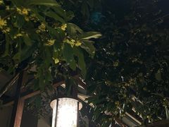 -古韵餐厅(湖畔大学店)