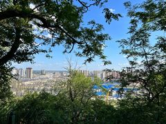 -高尔山公园