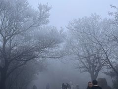 -紫金山山顶公园