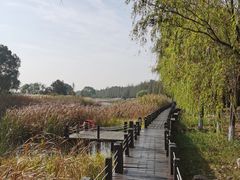 -苏州太湖湖滨国家湿地公园