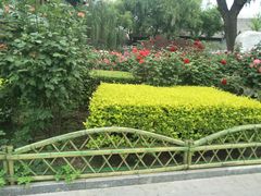-文瀛公园