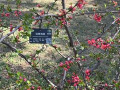 -国家植物园南园