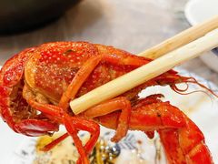 -徐嘉赫龙虾馆