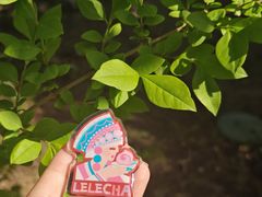 -LELECHA乐乐茶(王府井喜悦店)