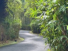 -天目湖涵田度假村