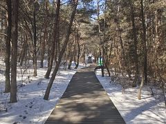 -帽儿山国家森林公园