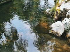 -趵突泉景区